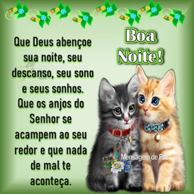 Que Deus abençoe sua noite,  seu descanso, seu sono e seus sonhos. Que os anjos do Senhor se acampem  ao seu redor e que nada de mal te aconteça. Boa Noite!