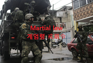 Martial law [마셜 로] 뜻 : 계엄령 (戒嚴令)