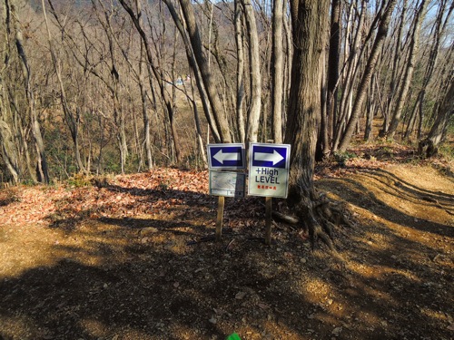DSCN1794.JPG DSCN1794