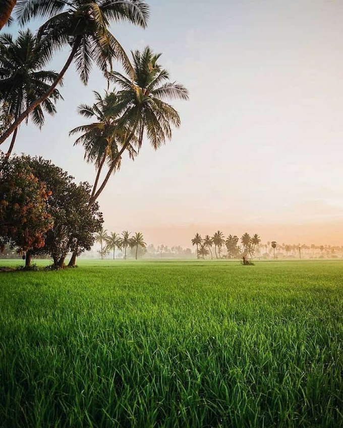 பூமியும் வானமும் 