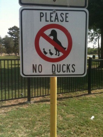 bizarre sign, no duck please