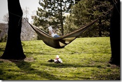 Hammock