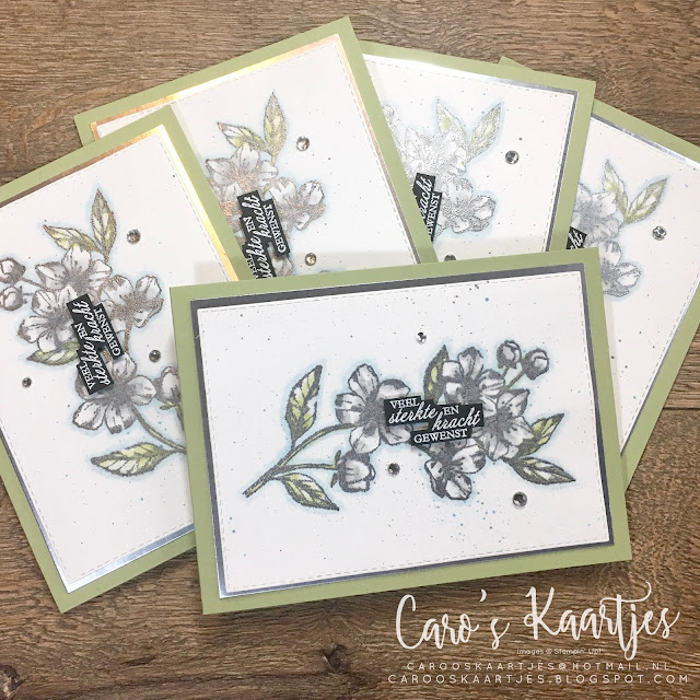 Stampin' Up! hobbymaterialen zijn verkrijgbaar via Caro's Kaartjes. Voor meer informatie mail naar carooskaartjes@hotmail.nl of kijk op https://carooskaartjes.blogspot.com/