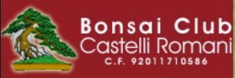 http://www.bonsaicastelliromani.it/index.php