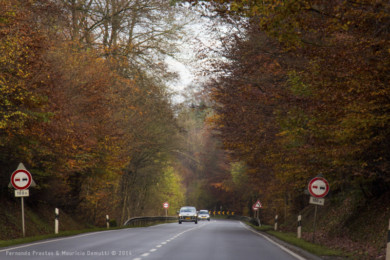 estrada em luxemburgo no outono