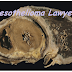 Find The Best Mesothelioma Lawyers In Your Local Area