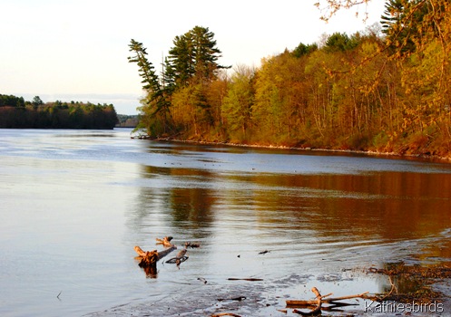 9. Kennebec River-kab