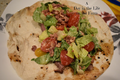 steak and salad on tortilla