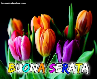 buona serata immagini bellissime