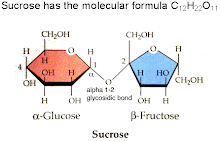 Sucrose