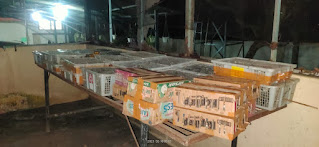 Burung Yang ditahan