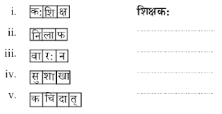 Abhyasvan Bhav Class 9 Solutions Chapter 6 कारकोपपदविभक्तिः