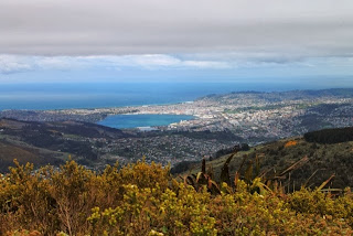 Cloudy day at Mount Cargill