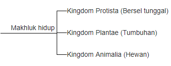 Sistem Klasifikasi 3 Kingdom