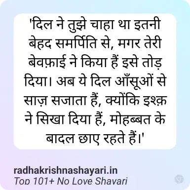 Best No Love Shayari In Hindi
