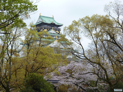 大阪城と桜