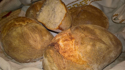 Pane civraxiu, pagnotta di semola con lievito madre 5