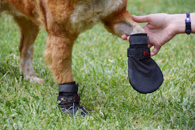 traction grip shoes for dogs