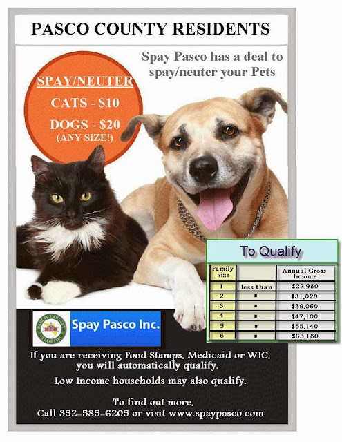 http://www.spaypasco.com