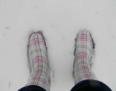 snow 019