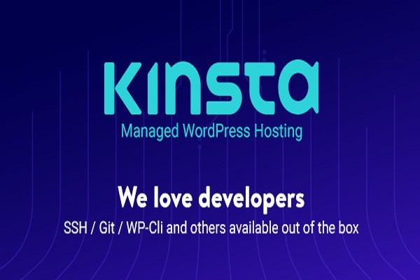 Premium WordPress Hosting - Kinsta