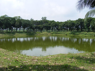 ছবি