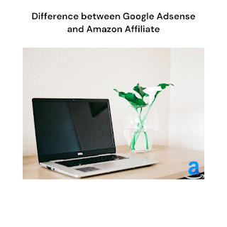 Google Adsense Vs Amazon Affiliate- Which Is Best