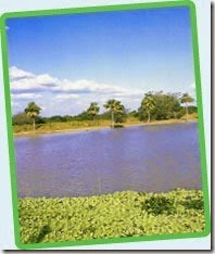 clip_image007