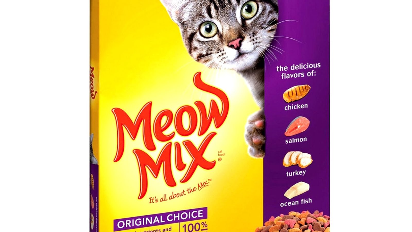 Best Cat Food Brands - Cat Choices