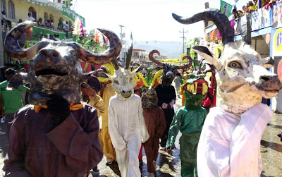 Brazil Carnival 2009 Seen On www.coolpicturegallery.net