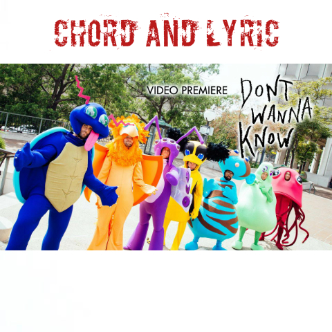 Chord And Lyric Don't Wanna Know