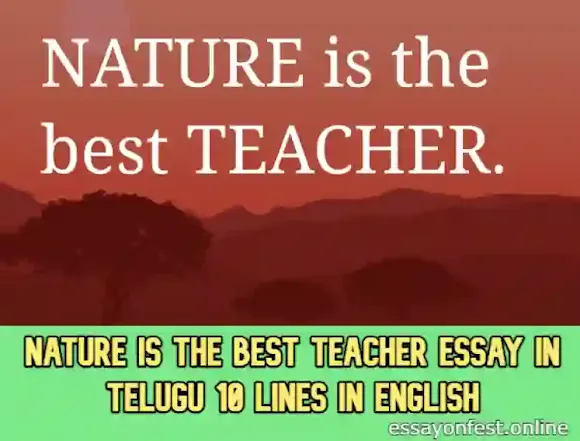 Nature Is The Best Teacher Essay