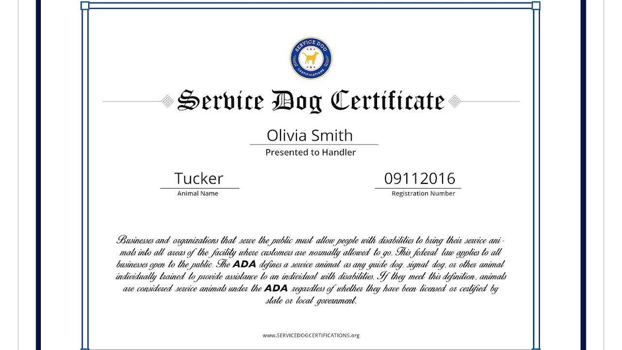 How To Have A Service Dog Certified