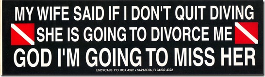 dive sticker-1