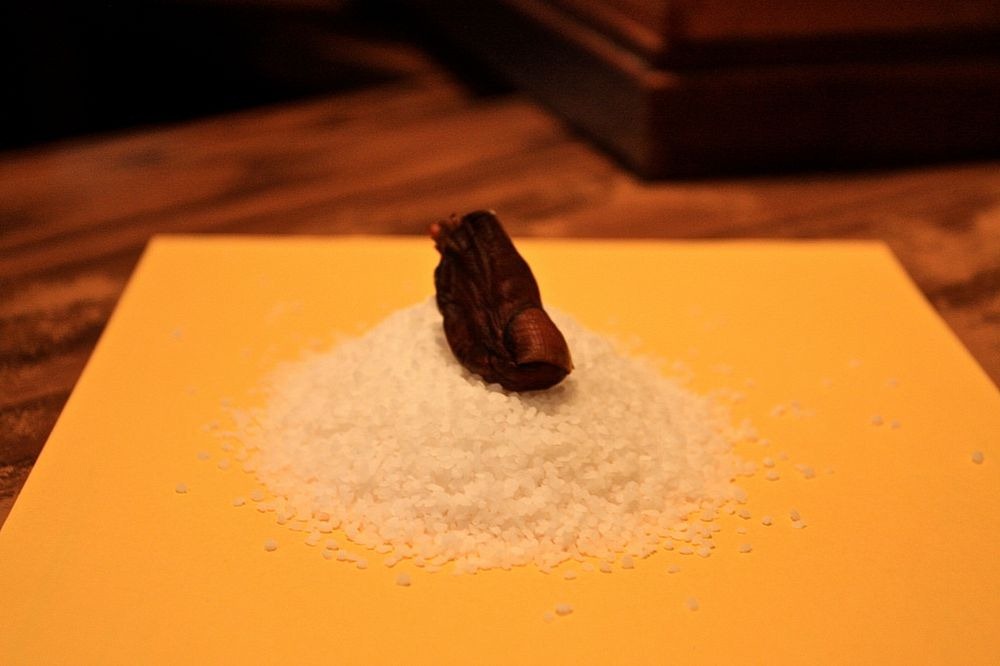 sourtoe-coquetel-4