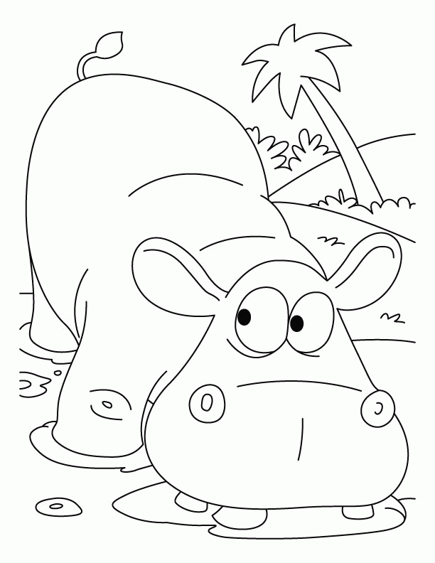 Kids Page: - Cartoon HIPPO Colouringpage 2 Coloring Pages