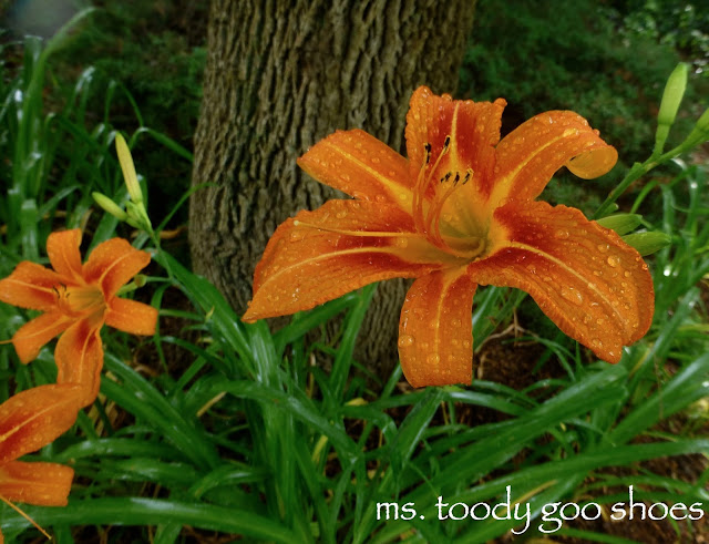 Lovely Lilies by Ms. Toody Goo Shoes