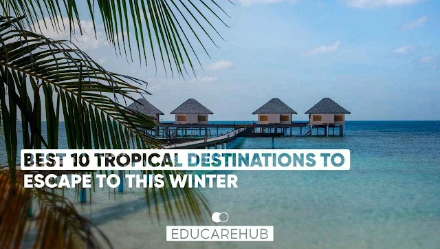 Best 10 Tropical Destinations To Escape To This Winter