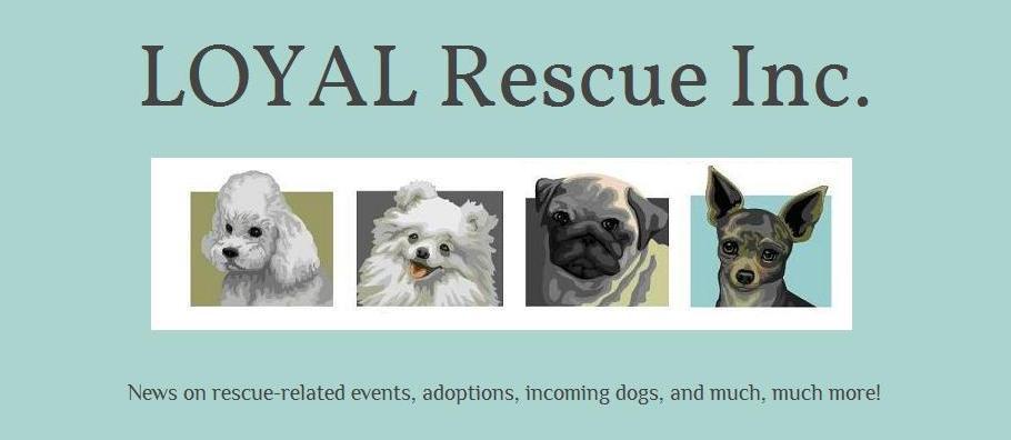 LOYAL Rescue Inc.