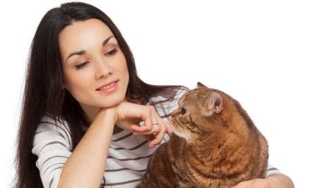  Breakup Blues? Why Cats Make Better Partners - woman girl cat pet pets