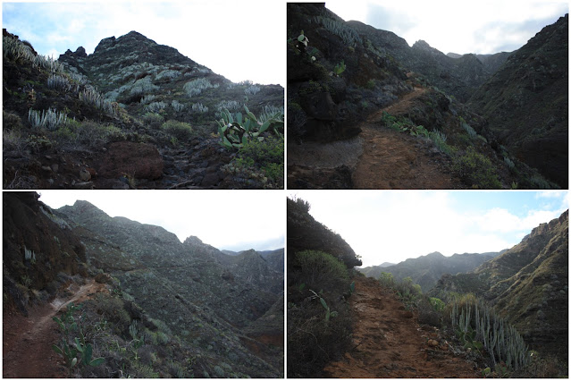 PR-TF-10 LA PUNTA DEL HIDALGO A LA CRUZ DEL CARMEN, sendero de subida hacia Chinamada