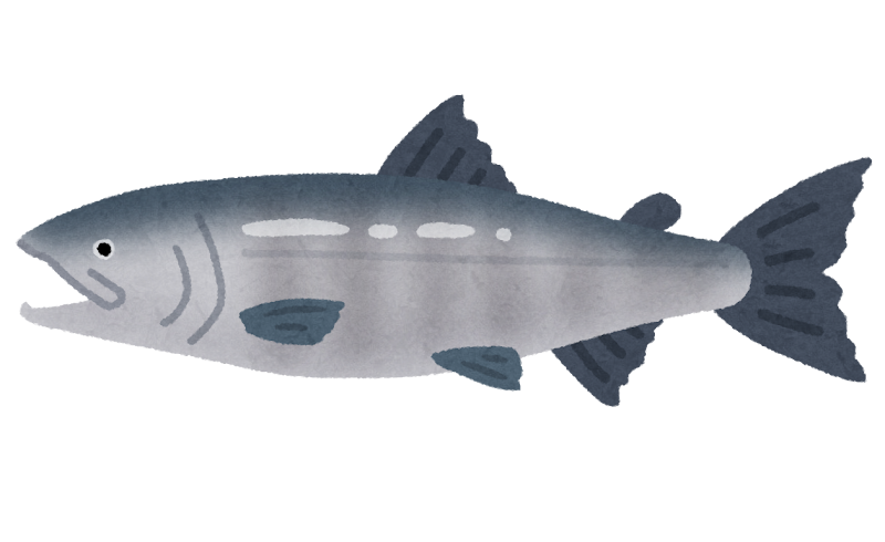 サケのイラスト 魚 かわいいフリー素材集 いらすとや サケのイラスト 魚 かわいいフリー素材集 いらすとや