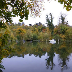 http://bugsandfishes.blogspot.co.uk/2015/11/an-autumn-walk-along-thames.html