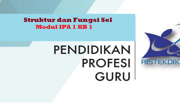 Struktur dan Fungsi Sel