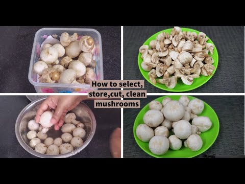 How To Select And Store Mushrooms