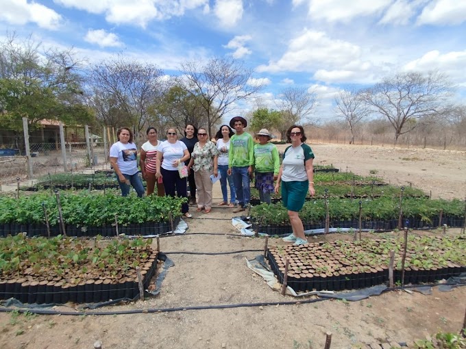 Caatinga: comunidades vivem da natureza na Serra Mossoró