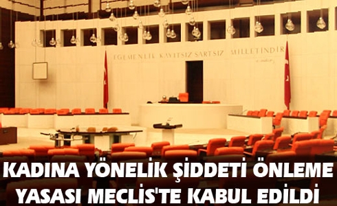 mecliste şiddet yasası