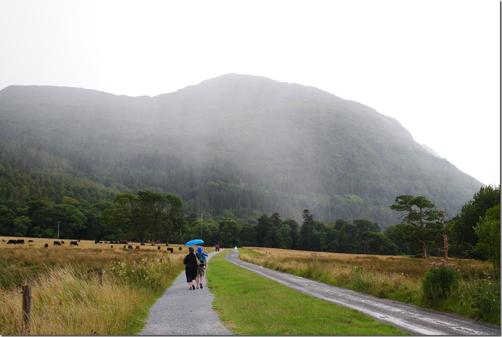 Kilarney National Park and Torc Waterfall (4)