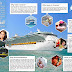  Cruise Trip Related FAQs and Answers by The Cruise Web [INFOGRAPHIC]