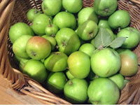 Basket of apples 